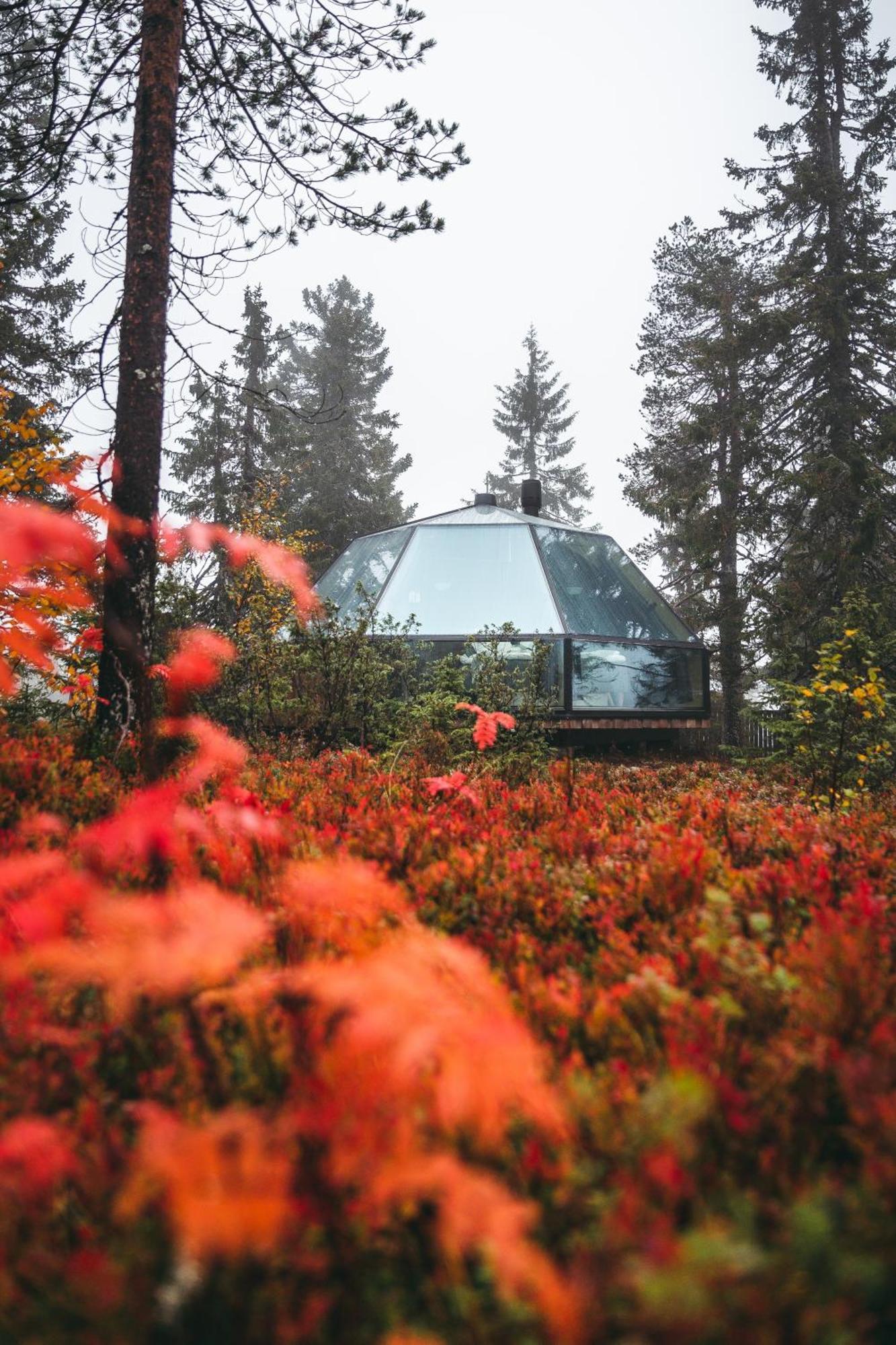 Syöte Igloos Apartman Kültér fotó